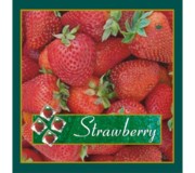 Пакет петля 45х50+8=80 'Strawberries'